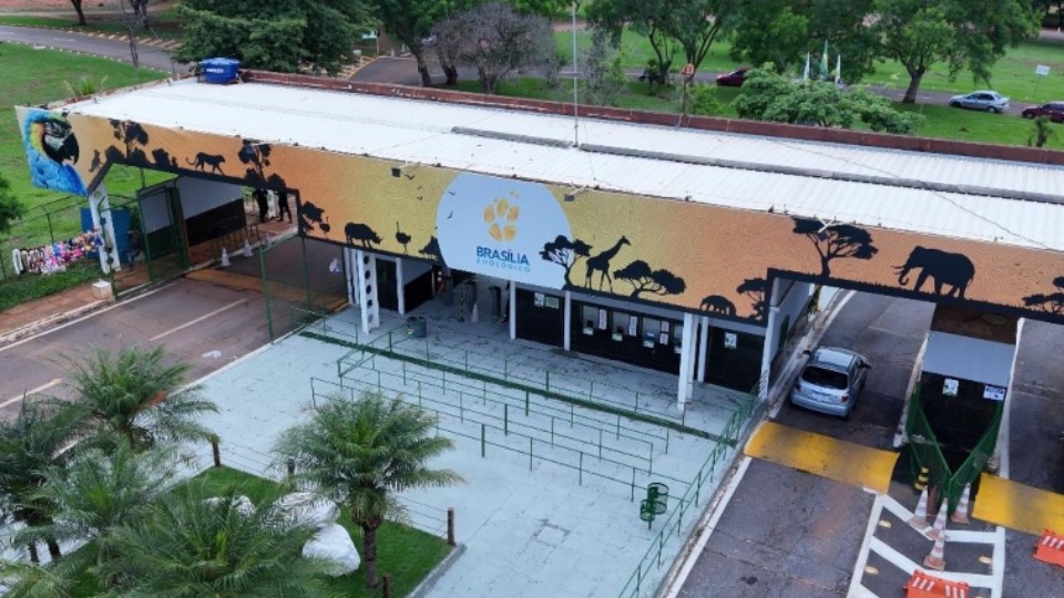 🦜 Zoológico de Brasília é fechado por suspeita de gripe aviária