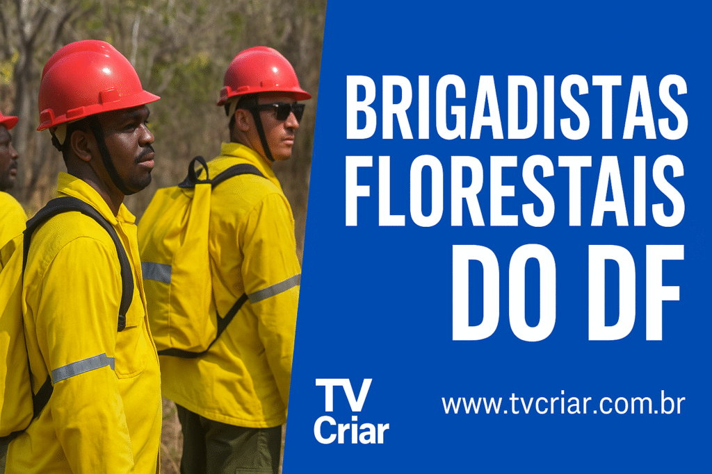 Seleção para Brigadistas Florestais no Distrito Federal Está Aberta