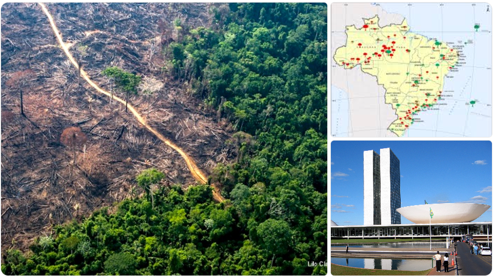 Licenciamento ambiental: “Governo colhe o que plantou”, diz especialista